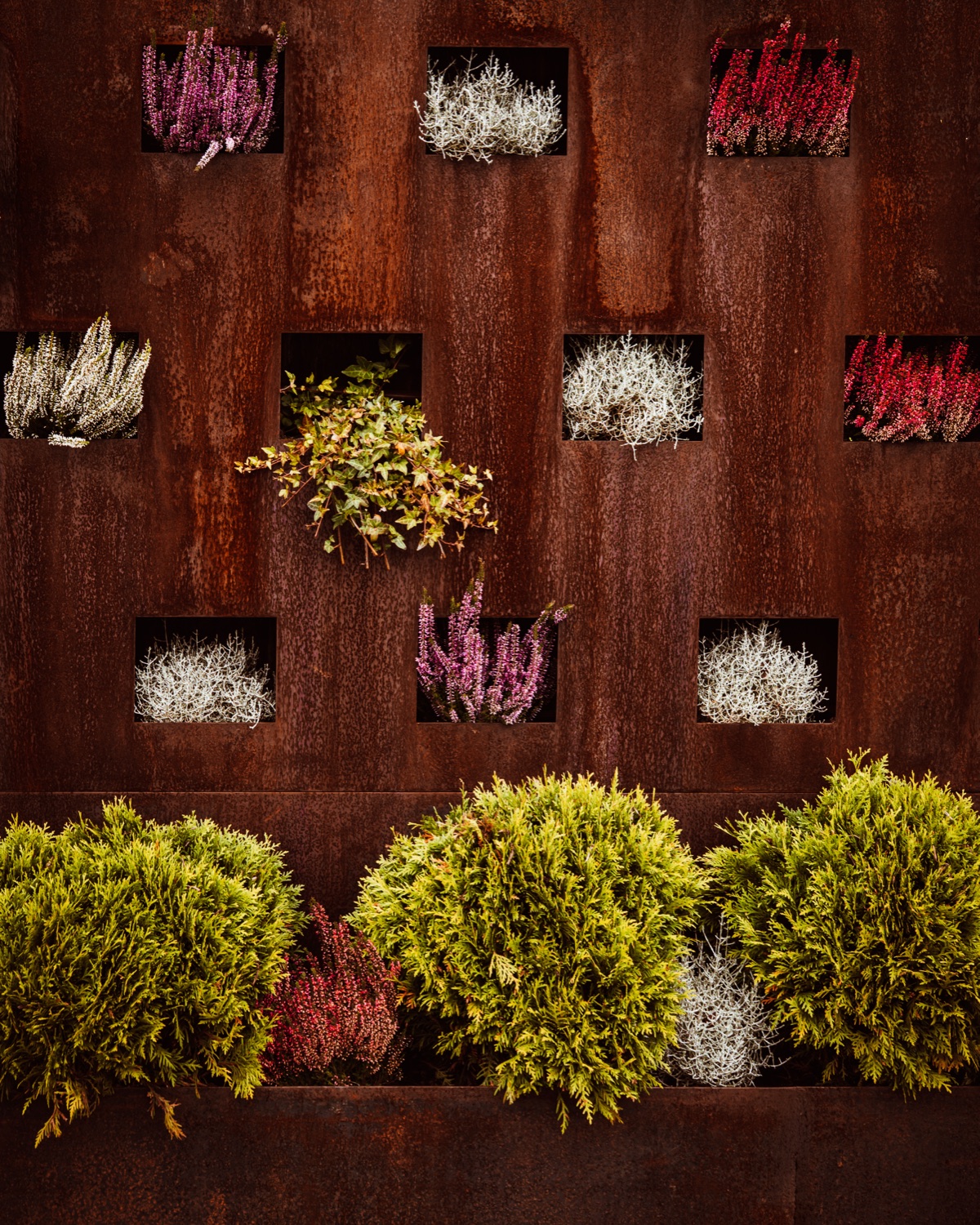 Geometric arrangement of plants in weathered rust-coloured architectural panels